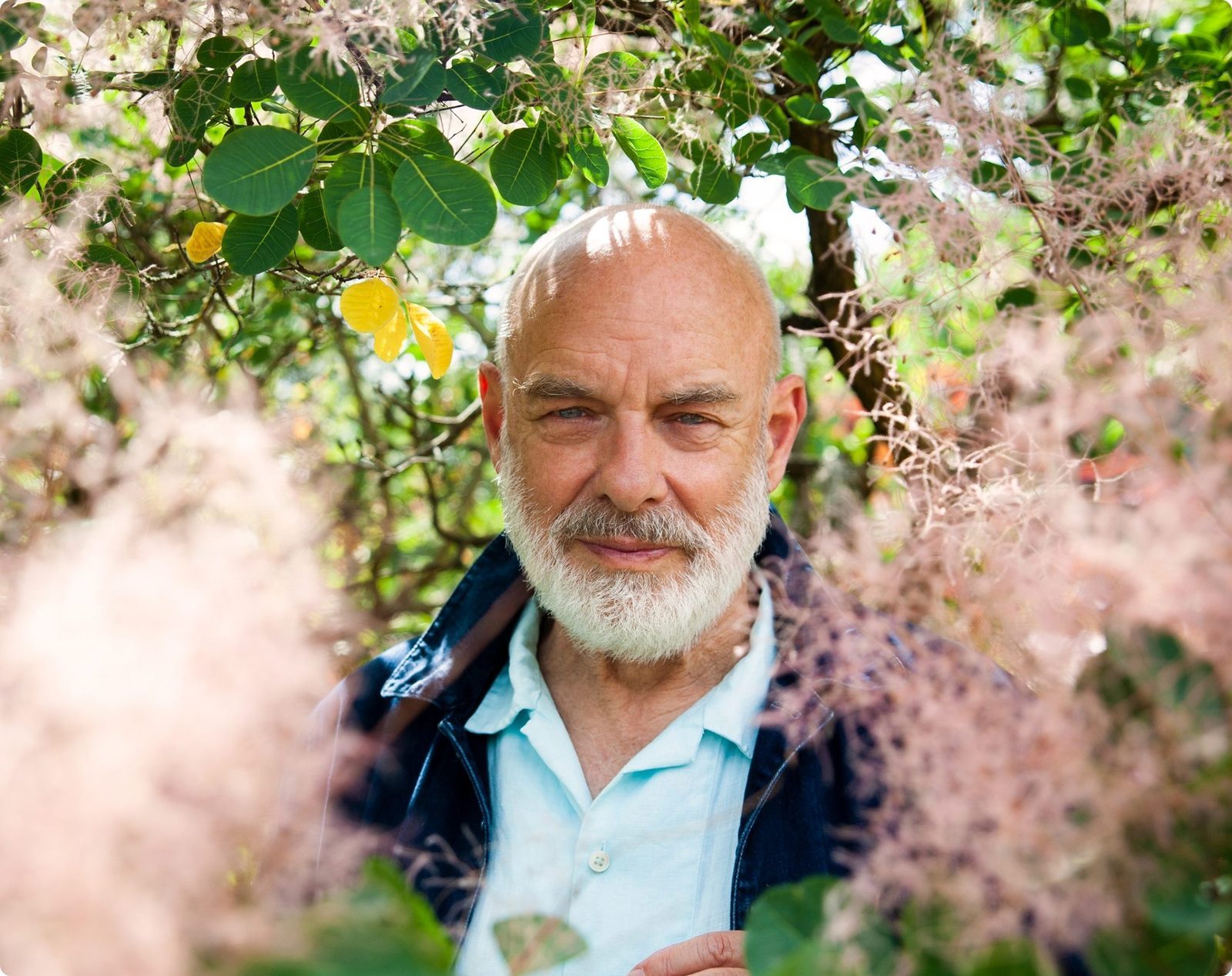 Brian Eno is backing Smart School Councils!